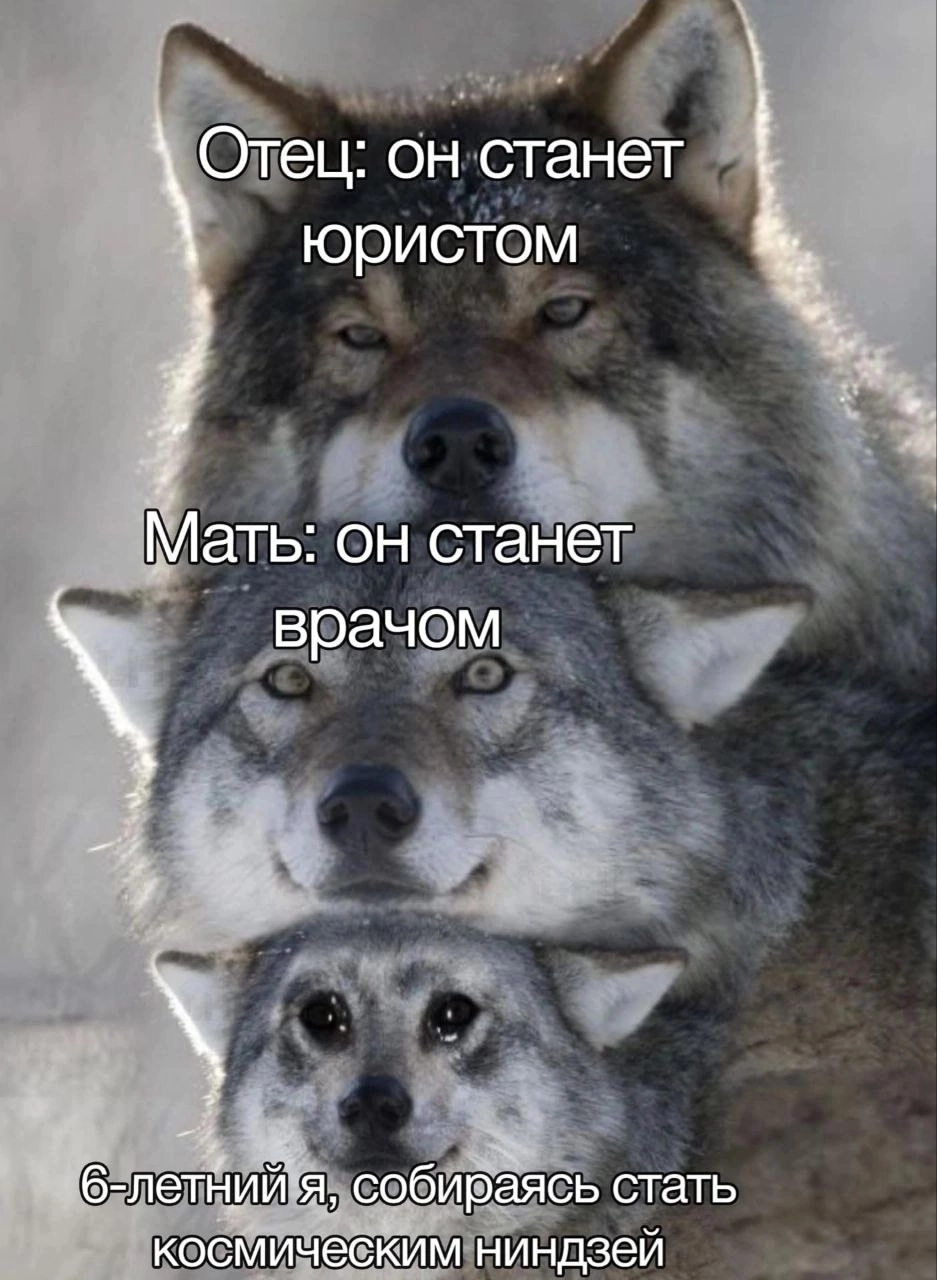 А кем, по версии ваших родителей, должны были стать вы? | Пикабу