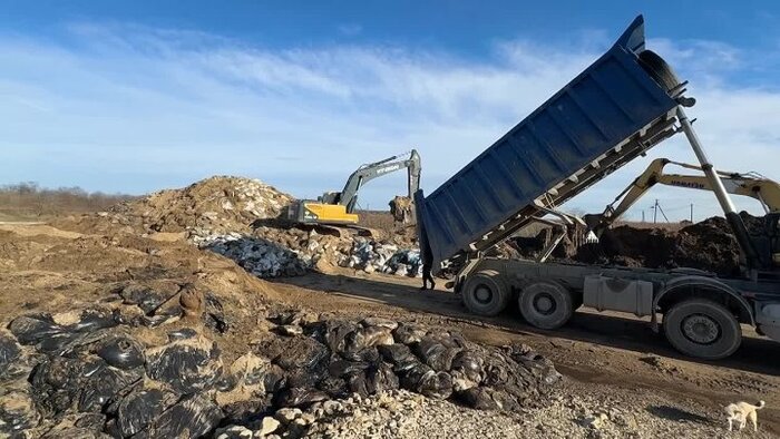 ������������