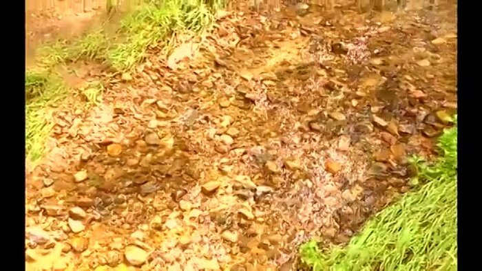 ������������