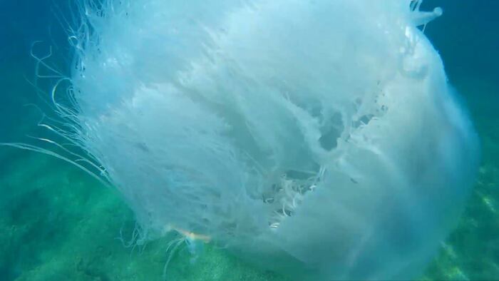 ������������