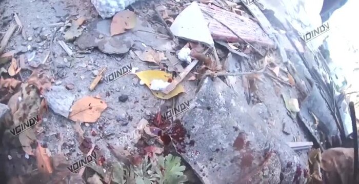 ������������