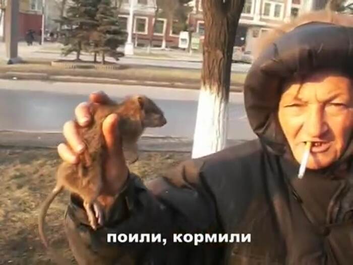 ������������