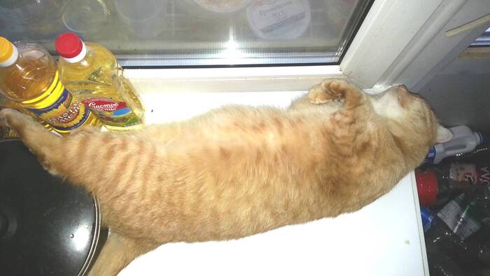 ������������