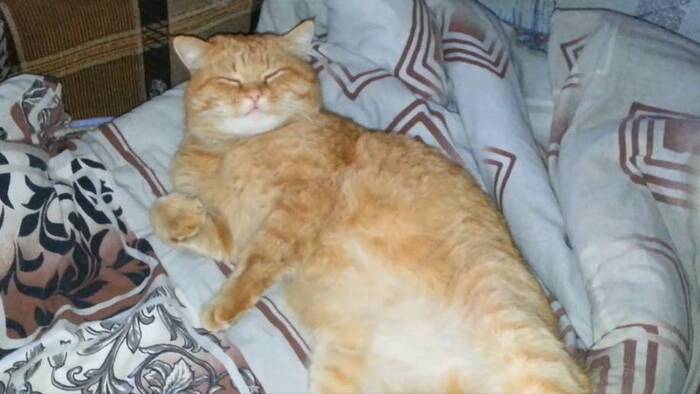 ������������