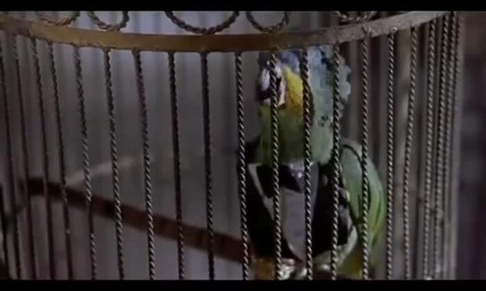 ������������