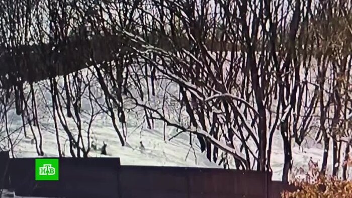 ������������