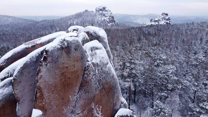 ������������